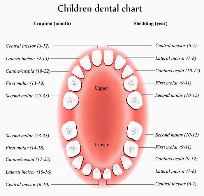 Kind And Dental